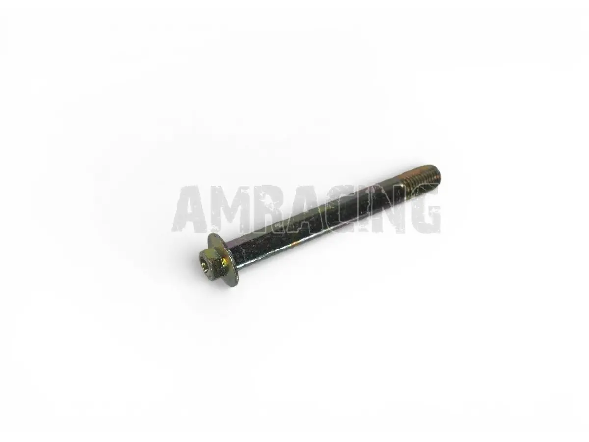 SCREW TE F/R 10x90  1.25  Ch. 10